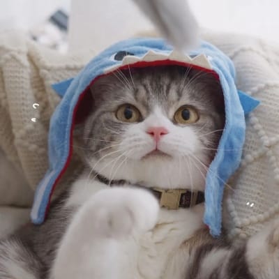 Indah Permata avatar