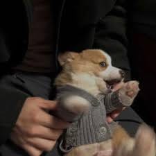 Fajar Nugraha avatar