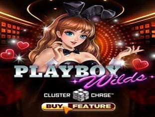 Playboy Wilds game thumbnail